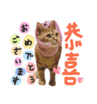 ラプンツェルちゃん2（個別スタンプ：40）