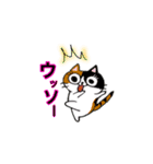 猫のみっちゅん（個別スタンプ：8）