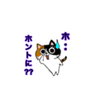 猫のみっちゅん（個別スタンプ：13）