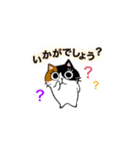 猫のみっちゅん（個別スタンプ：16）