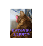 ワッツマンのスタンプ（個別スタンプ：9）
