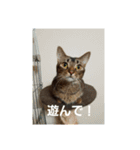 ワッツマンのスタンプ（個別スタンプ：15）