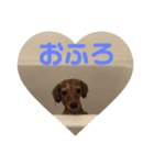 ぶさいく（個別スタンプ：5）