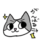ビバ猫（個別スタンプ：6）