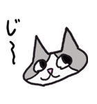 ビバ猫（個別スタンプ：9）
