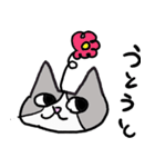 ビバ猫（個別スタンプ：11）