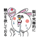 謎ウサギ（個別スタンプ：13）
