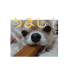 しぐれ(心の声)（個別スタンプ：14）