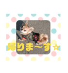 しぐれ(心の声)（個別スタンプ：16）