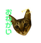 すもりんず（個別スタンプ：5）