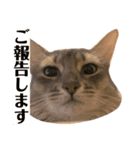 すもりんず（個別スタンプ：7）
