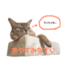 すもりんず（個別スタンプ：8）