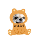 翼と紫のスタンプだよ①（個別スタンプ：8）