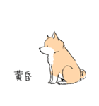 柴イッヌ（個別スタンプ：3）