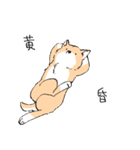 柴イッヌ（個別スタンプ：5）