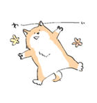 柴イッヌ（個別スタンプ：8）