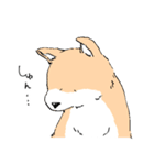 柴イッヌ（個別スタンプ：9）