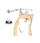 柴イッヌ（個別スタンプ：10）