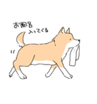柴イッヌ（個別スタンプ：11）