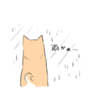 柴イッヌ（個別スタンプ：15）