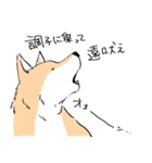 柴イッヌ（個別スタンプ：25）
