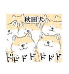 柴イッヌ（個別スタンプ：28）