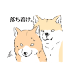柴イッヌ（個別スタンプ：31）