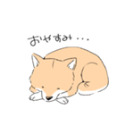 柴イッヌ（個別スタンプ：33）