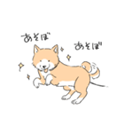 柴イッヌ（個別スタンプ：34）