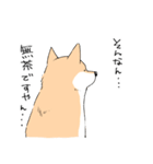 柴イッヌ（個別スタンプ：37）