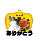 ハロウィン うさぎの癒しスタンプ（個別スタンプ：11）