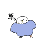 多分使いやすいインコ（個別スタンプ：8）