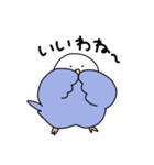 多分使いやすいインコ（個別スタンプ：31）