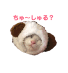 ゆるっときな子③（個別スタンプ：5）