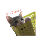 ゆるっときな子③（個別スタンプ：9）