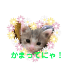ゆるっときな子③（個別スタンプ：18）