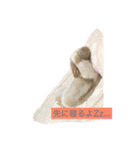 シーズー達の日常スタンプ（個別スタンプ：1）