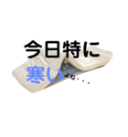 シーズー達の日常スタンプ（個別スタンプ：11）
