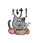 にゃまり猫（個別スタンプ：15）