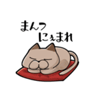 にゃまり猫（個別スタンプ：17）