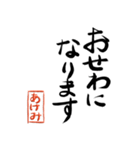 筆と名前印＜其の二＞【あけみ】（個別スタンプ：14）