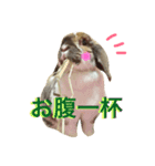 モカ蔵2（個別スタンプ：6）