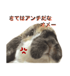 モカ蔵2（個別スタンプ：9）