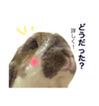 モカ蔵2（個別スタンプ：12）