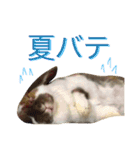 モカ蔵2（個別スタンプ：15）