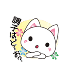 ♪ホワイトにゃんこのキュートなメッセージ（個別スタンプ：13）