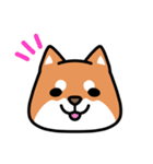 柴犬顔文字スタンプ（個別スタンプ：1）