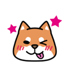 柴犬顔文字スタンプ（個別スタンプ：4）