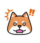 柴犬顔文字スタンプ（個別スタンプ：7）