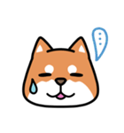 柴犬顔文字スタンプ（個別スタンプ：9）
